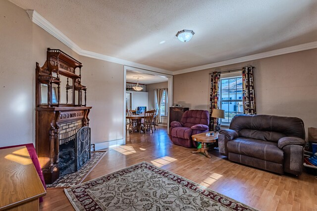 living room with wood-type flooring, a textured ceiling, and crown molding