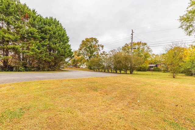 2036 Hickory Valley Rd, Chattanooga, TN 37421 - view of green lawn featuring asphalt driveway