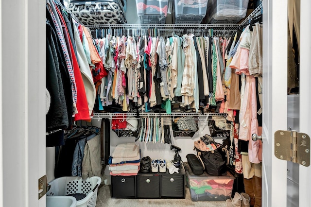 view of walk in closet