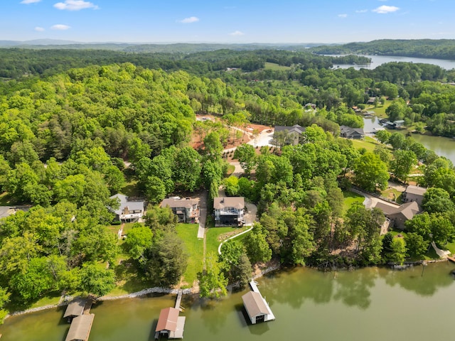 302 Key Cove Rd, Spring City, TN 37381 - drone / aerial view featuring a forest view and a water view