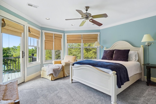 302 Key Cove Rd, Spring City, TN 37381 - bedroom featuring carpet floors, access to outside, and multiple windows