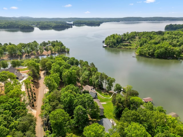 302 Key Cove Rd, Spring City, TN 37381 - drone / aerial view featuring a water view