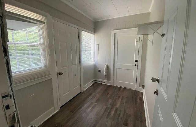 604 N Moore Rd, Chattanooga, TN 37411 - doorway to outside with crown molding, dark wood-type flooring, and plenty of natural light