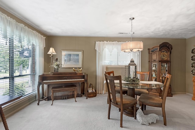1103 Peerless Dr NW, Cleveland, TN 37312 - photo 13