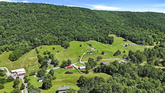 1295 Ideal Valley Rd, Spring City, TN 37381 - view of property location with a forest