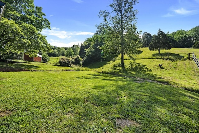 1295 Ideal Valley Rd, Spring City, TN 37381 - view of yard with a view of rural / pastoral area