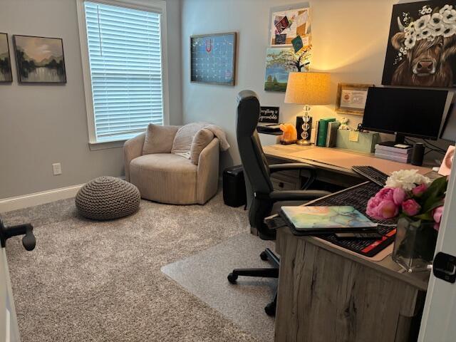 5069 Shelterwood Dr NE, Cleveland, TN 37312 - photo 21