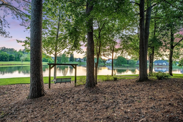 view of home's community featuring a water view