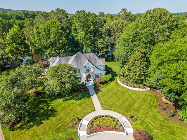 bird's eye view