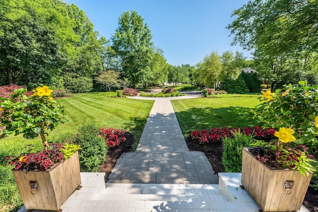 view of community featuring a lawn