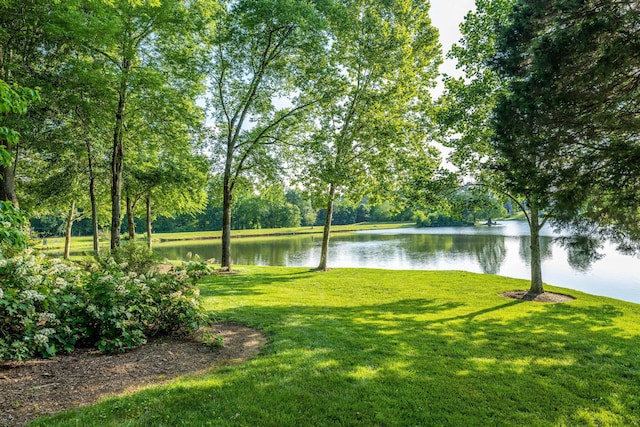 view of yard with a water view