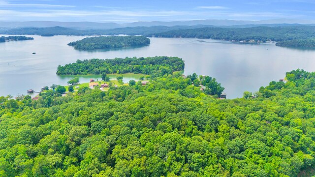 LOT31 Cherokee Cir, Ten Mile, TN 37880 - photo 4