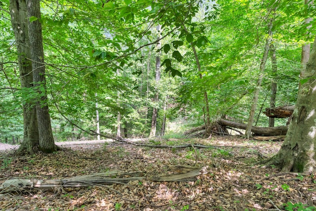 LOT31 Cherokee Cir, Ten Mile, TN 37880 - photo 12