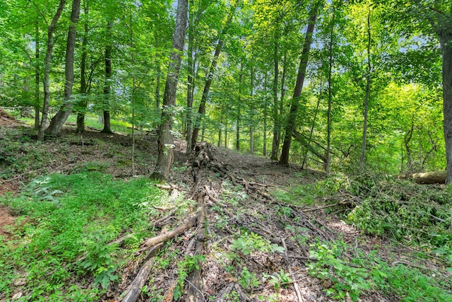 LOT31 Cherokee Cir, Ten Mile, TN 37880 - photo 13
