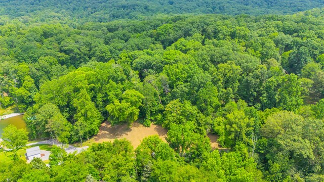 LOT31 Cherokee Cir, Ten Mile, TN 37880 - photo 6