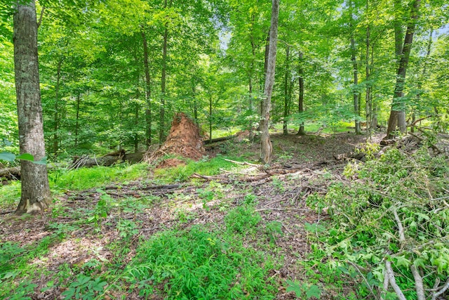LOT31 Cherokee Cir, Ten Mile, TN 37880 - photo 11
