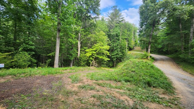 000 Tumbling Creek Rd, Copperhill, TN 37317