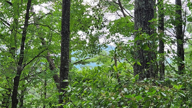 000 Tumbling Creek Rd, Copperhill, TN 37317