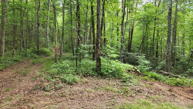 000 Tumbling Creek Rd, Copperhill, TN 37317
