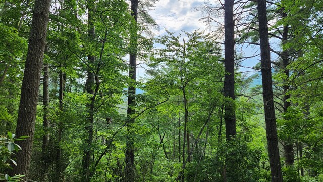 000 Tumbling Creek Rd, Copperhill, TN 37317