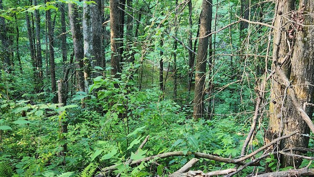 000 Tumbling Creek Rd, Copperhill, TN 37317