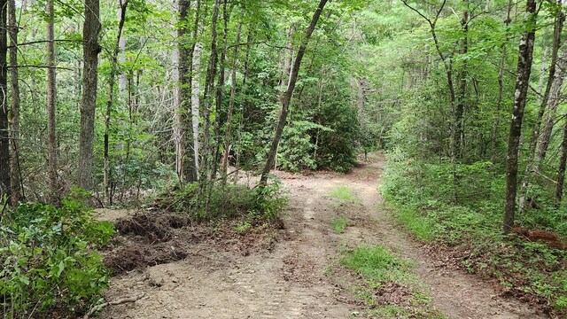 000 Tumbling Creek Rd, Copperhill, TN 37317