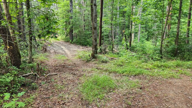 000 Tumbling Creek Rd, Copperhill, TN 37317