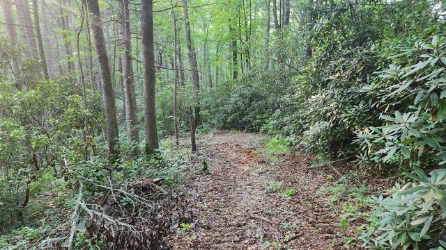 000 Tumbling Creek Rd, Copperhill, TN 37317