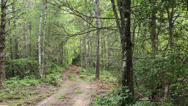 000 Tumbling Creek Rd, Copperhill, TN 37317