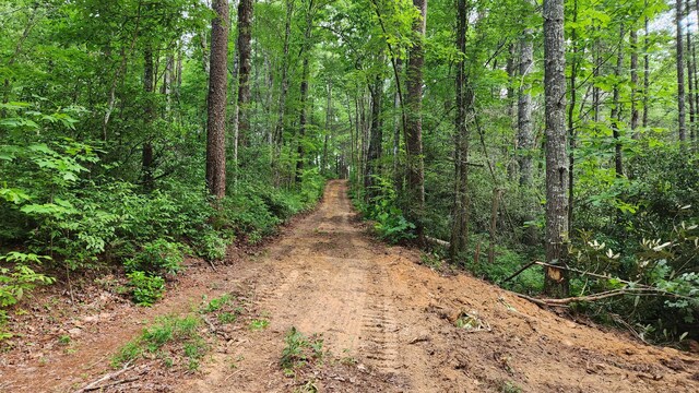 000 Tumbling Creek Rd, Copperhill, TN 37317