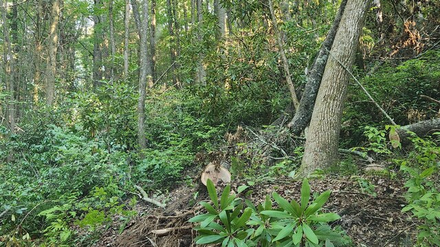 000 Tumbling Creek Rd, Copperhill, TN 37317
