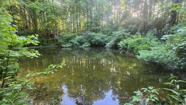 000 Tumbling Creek Rd, Copperhill, TN 37317