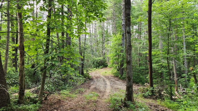 000 Tumbling Creek Rd, Copperhill, TN 37317