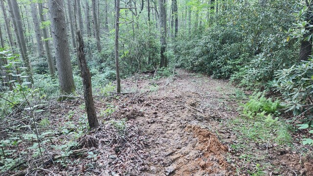 000 Tumbling Creek Rd, Copperhill, TN 37317