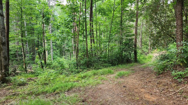000 Tumbling Creek Rd, Copperhill, TN 37317