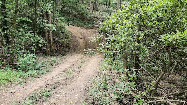 000 Tumbling Creek Rd, Copperhill, TN 37317