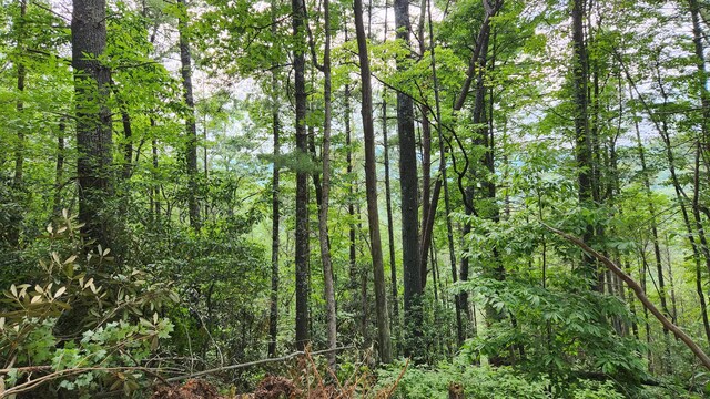 000 Tumbling Creek Rd, Copperhill, TN 37317