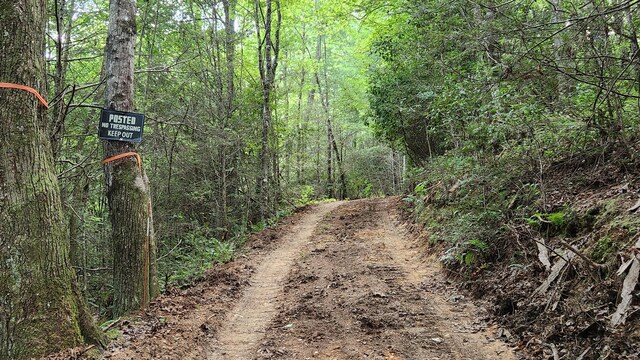000 Tumbling Creek Rd, Copperhill, TN 37317