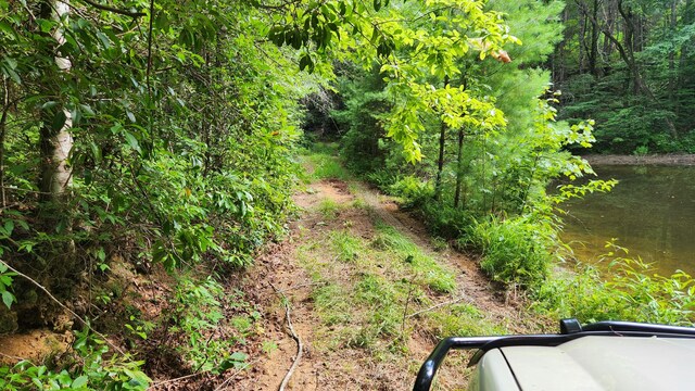 000 Tumbling Creek Rd, Copperhill, TN 37317