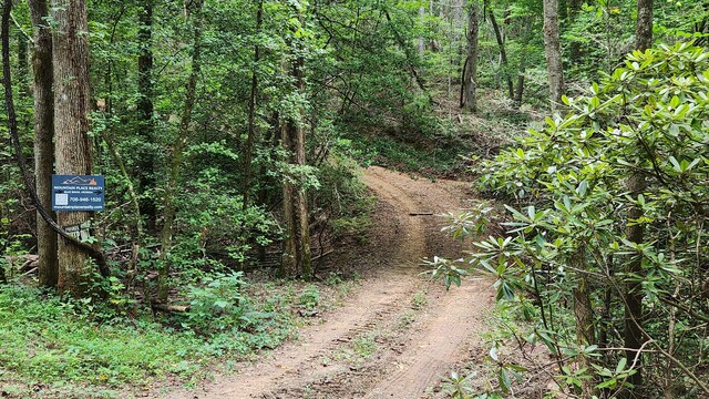 000 Tumbling Creek Rd, Copperhill, TN 37317