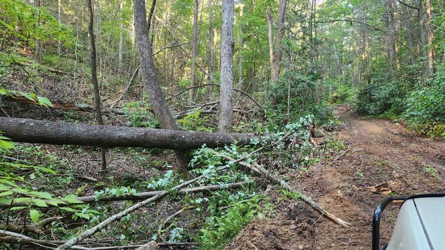 000 Tumbling Creek Rd, Copperhill, TN 37317