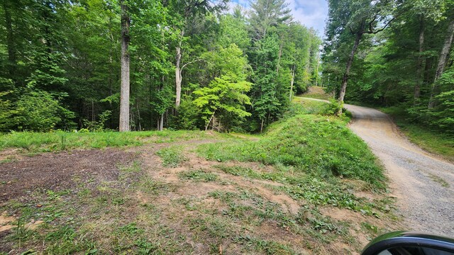 000 Tumbling Creek Rd, Copperhill, TN 37317