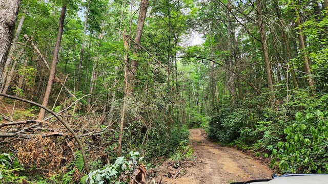 000 Tumbling Creek Rd, Copperhill, TN 37317