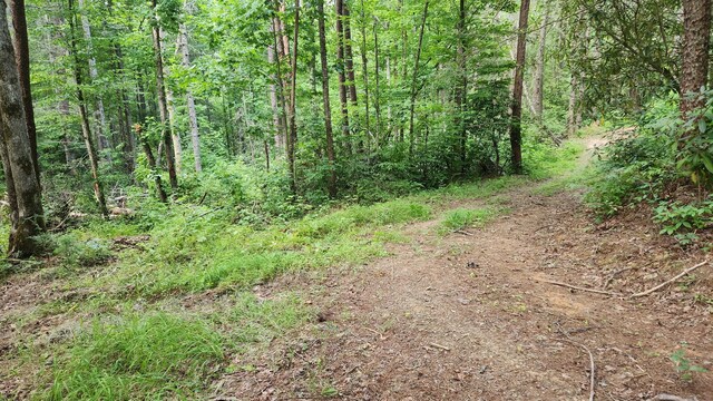 000 Tumbling Creek Rd, Copperhill, TN 37317