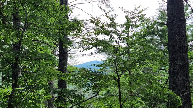 000 Tumbling Creek Rd, Copperhill, TN 37317