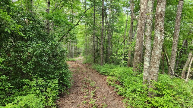 000 Tumbling Creek Rd, Copperhill, TN 37317