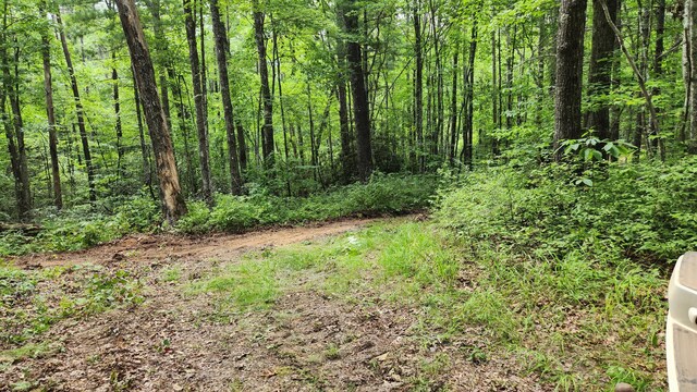 000 Tumbling Creek Rd, Copperhill, TN 37317