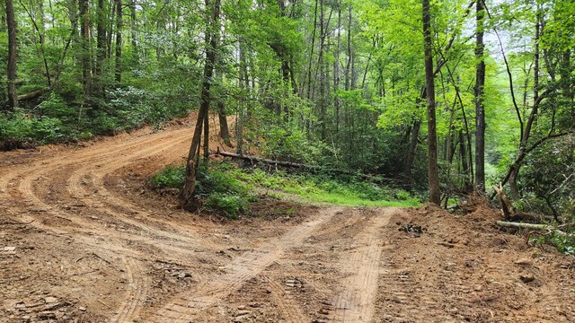000 Tumbling Creek Rd, Copperhill, TN 37317