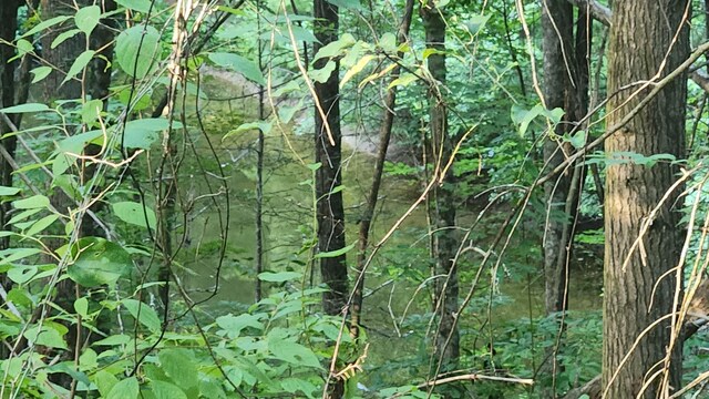 000 Tumbling Creek Rd, Copperhill, TN 37317