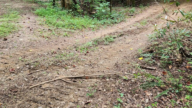 000 Tumbling Creek Rd, Copperhill, TN 37317